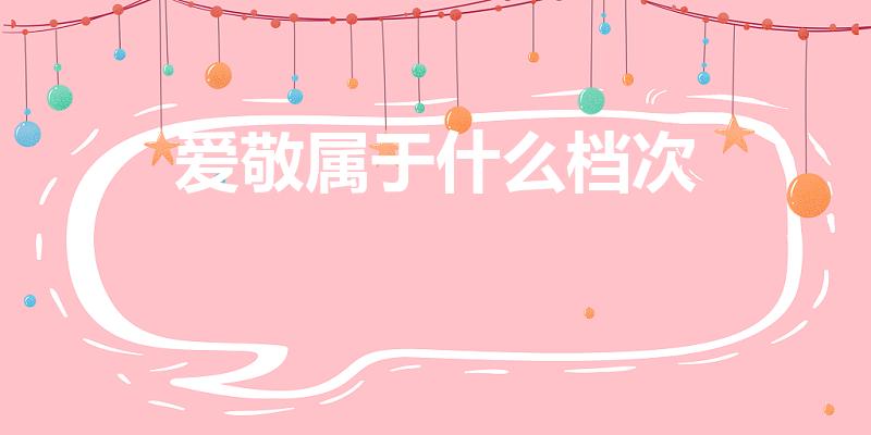 爱敬属于什么档次（爱敬和圣罗兰是一个档次吗）
