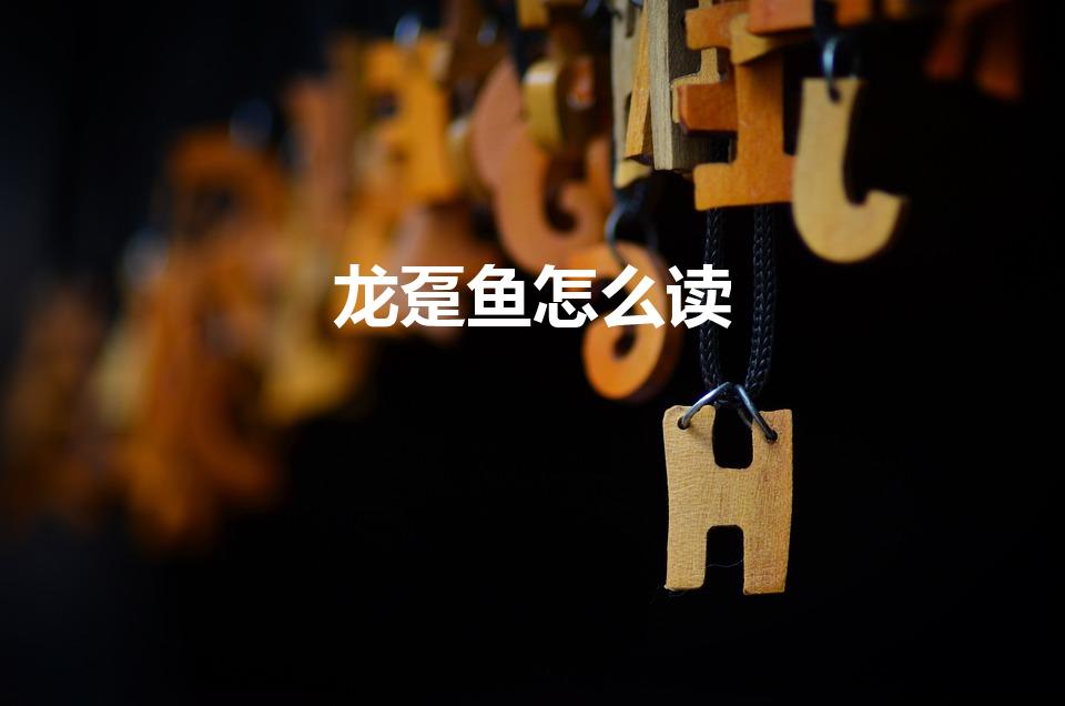 龙趸鱼怎么读（龙趸怎么读）