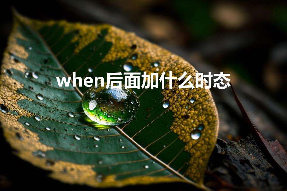 when后面加什么时态（when后面的动词都会加什么时态）
