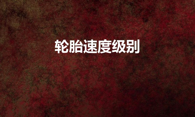 轮胎速度级别（轮胎的速度级别是什么）