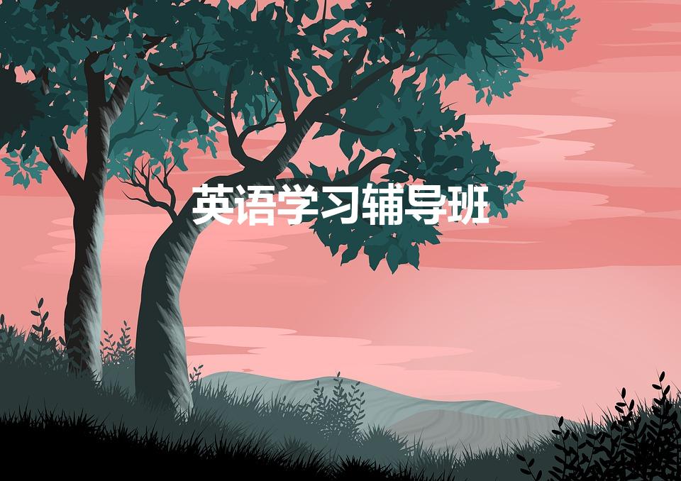 英语学习辅导班（英语辅导班哪个机构好）