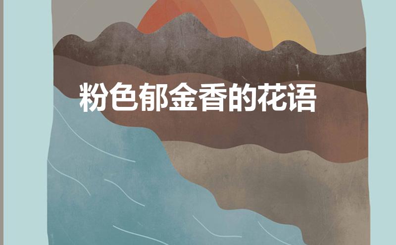 粉色郁金香的花语(粉色郁金香的花语和寓意)