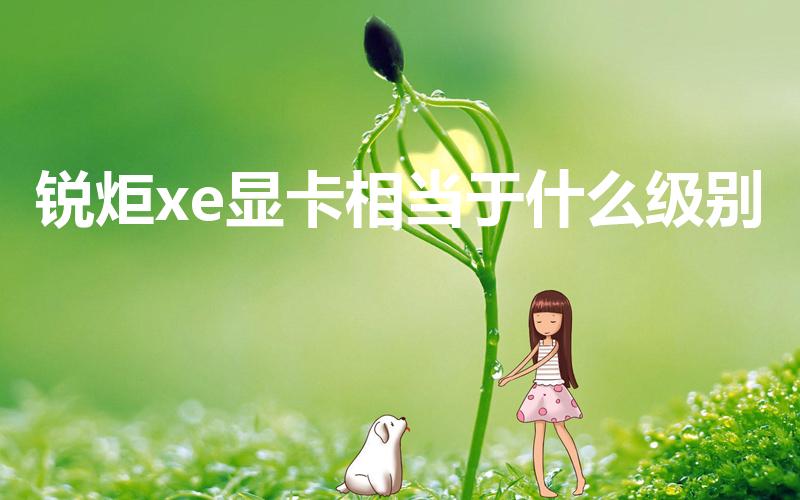 锐炬xe显卡相当于什么级别（锐炬xe显卡相当于什么显卡）