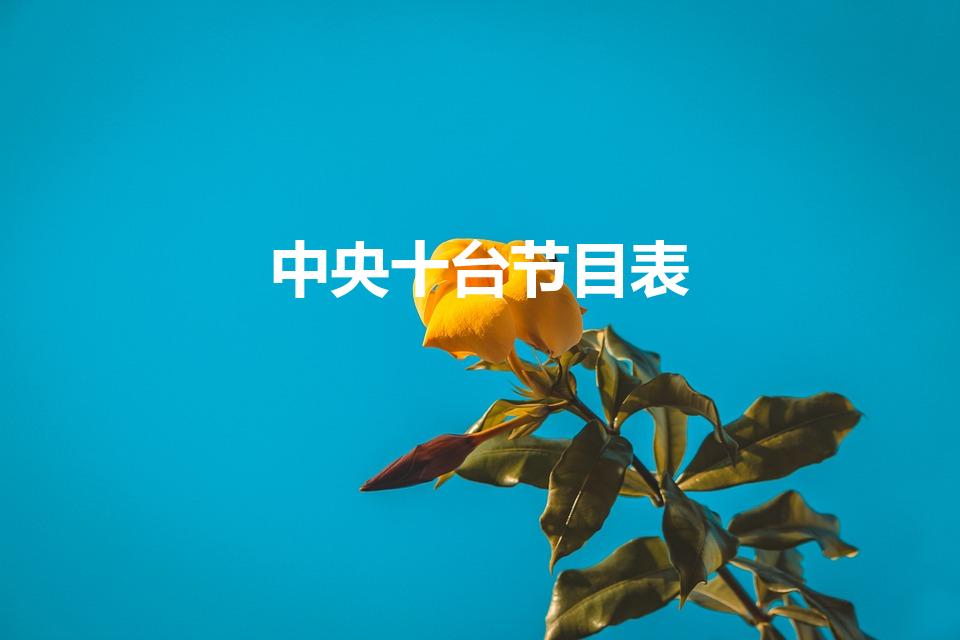 中央十台节目表（央视电视台节目单节目表）