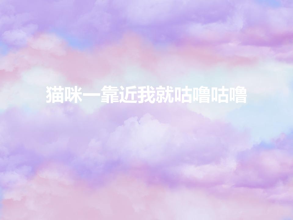 猫咪一靠近我就咕噜咕噜（猫咪一靠近我就打呼噜）