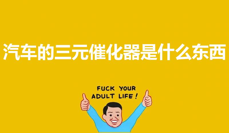 汽车的三元催化器是什么东西（汽车三元催化器是什么）