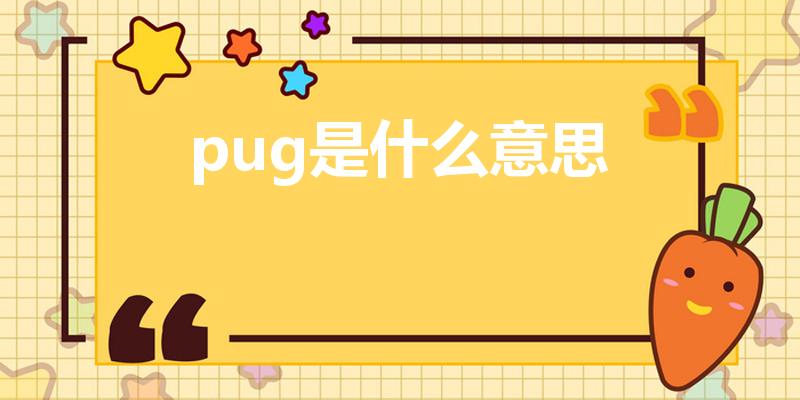 pug是什么意思（网络中现在流行的PUG是什么意思）