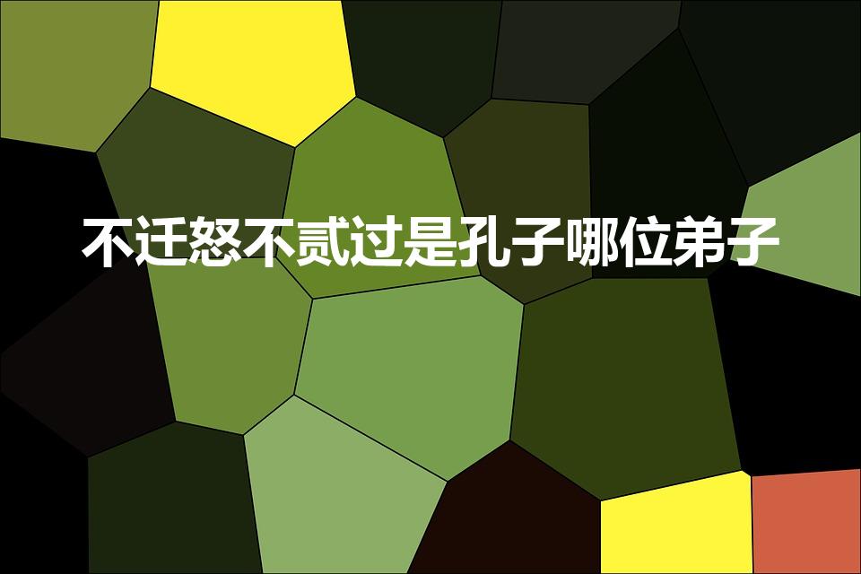 不迁怒不贰过是孔子哪位弟子（不迁怒不贰过说的是谁）