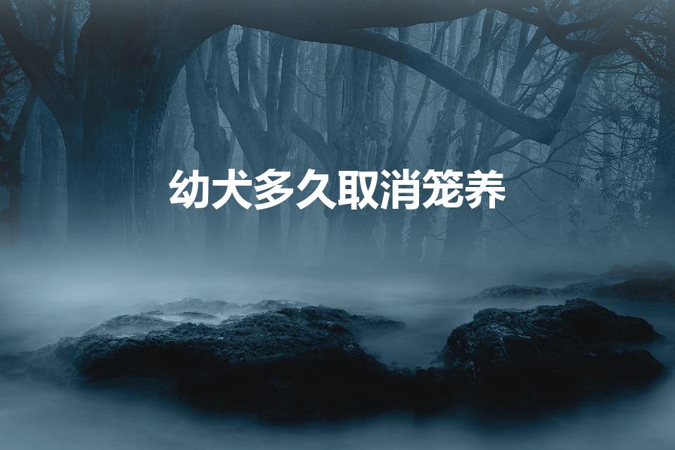 幼犬多久取消笼养（幼犬到家关笼子多久能放出来）