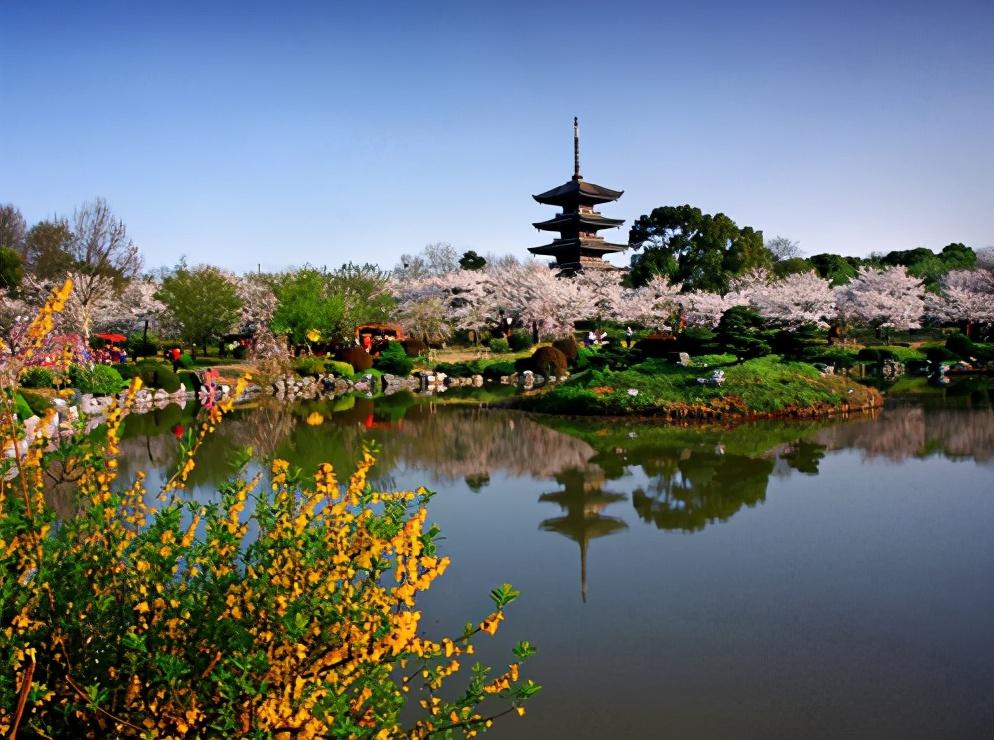 武汉旅游攻略景点必去(武汉旅游攻略景点必去一日游)