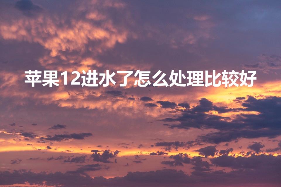 苹果12进水了怎么处理比较好