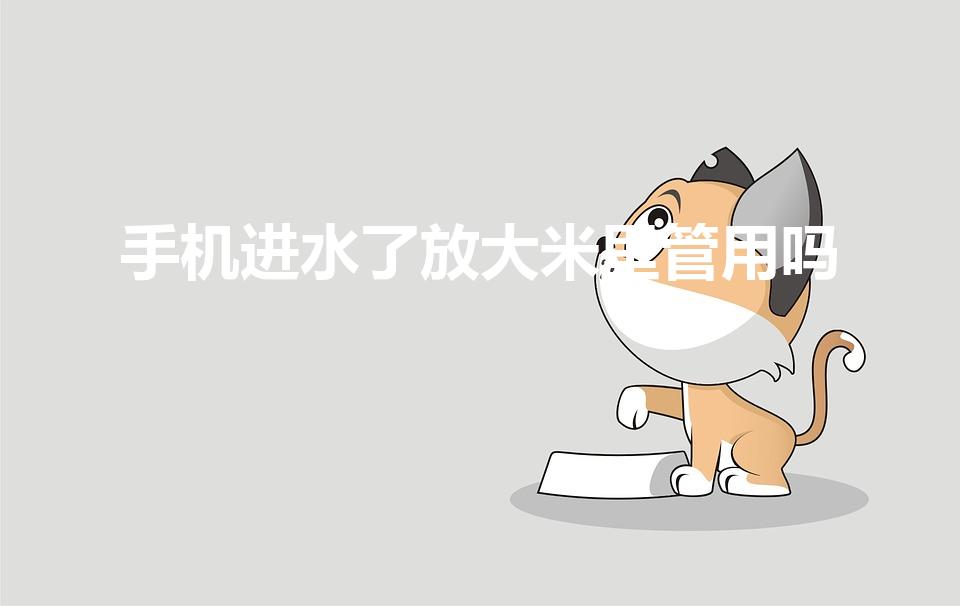 手机进水了放大米里管用吗（手机进水放大米里有用吗）