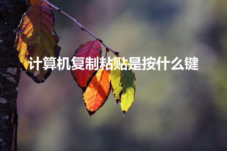 计算机复制粘贴是按什么键（电脑哪个键是复制粘贴）