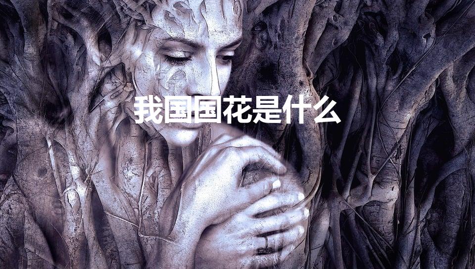 我国国花是什么（中国国花是什么花啊）