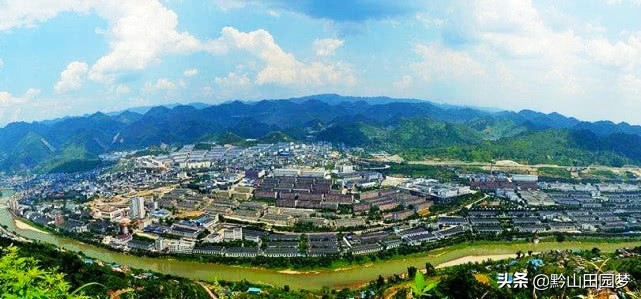 贵州三宝是哪三宝(贵州三宝是哪三宝多少钱)