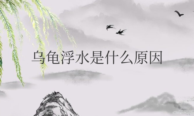 乌龟浮水是什么原因造成的