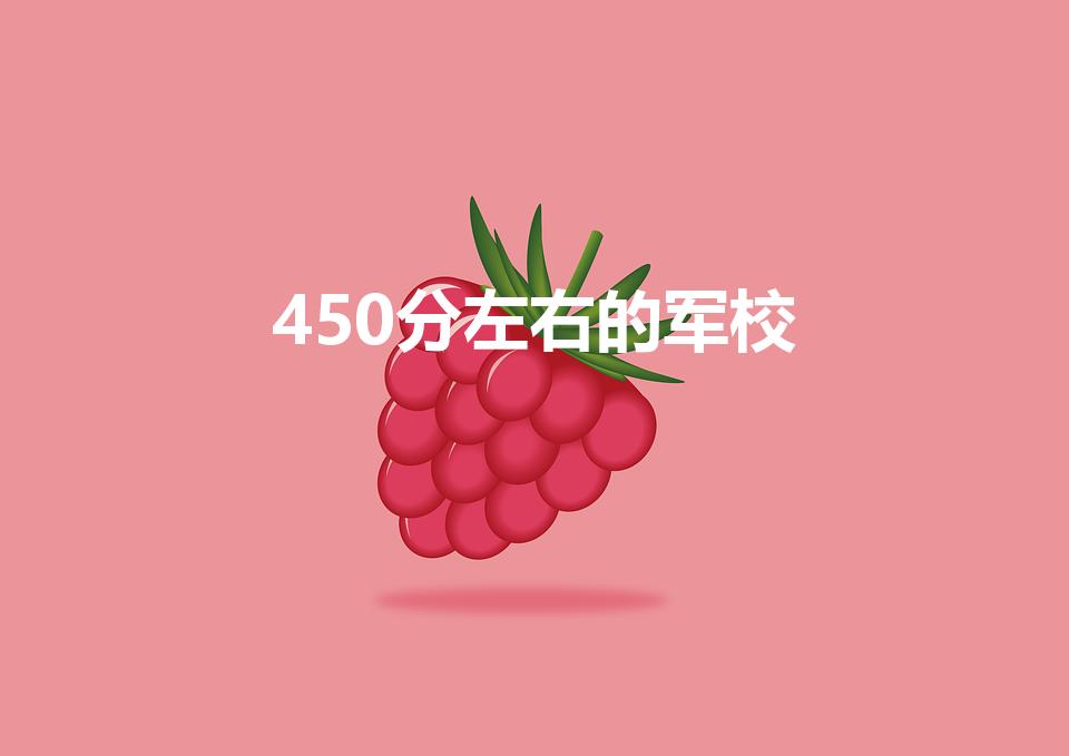 450分左右的军校（450分二本军校名单）