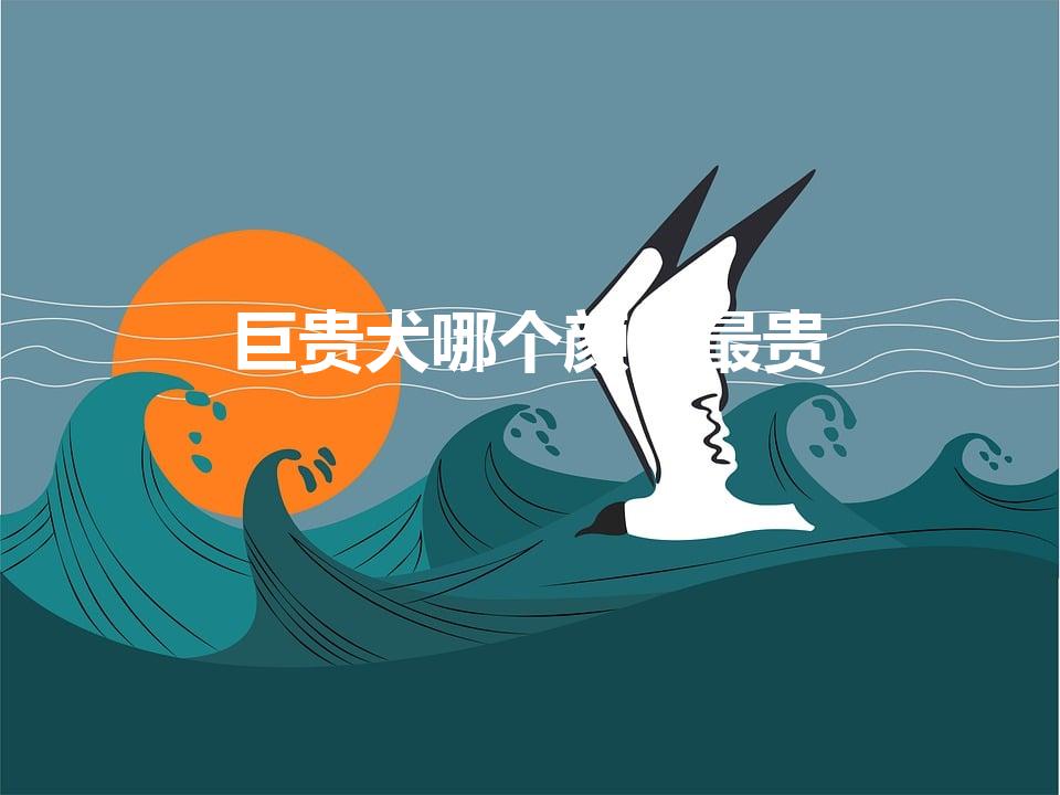 巨贵犬哪个颜色最贵（巨贵犬色彩价值排名）