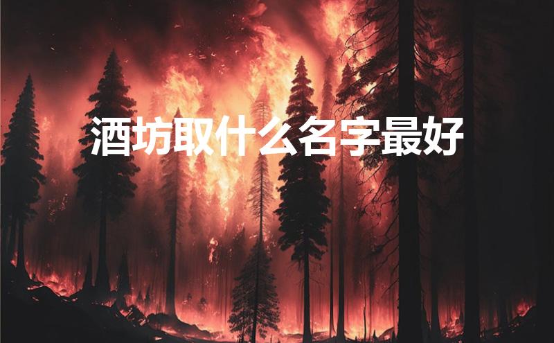酒坊取什么名字最好(酒坊名称)