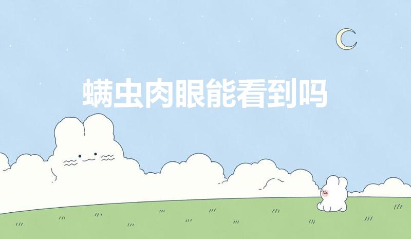 螨虫肉眼能看到吗（螨虫长什么样肉眼能看到吗）