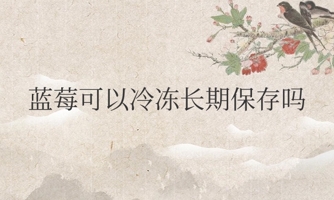 蓝莓可以冷冻长期保存吗