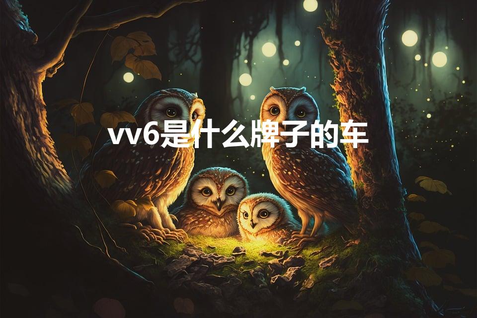 vv6是什么牌子的车（we丫vv6是什么牌车）