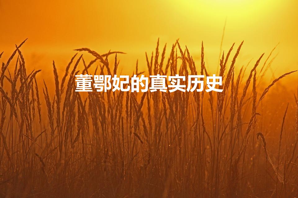 董鄂妃的真实历史（历史上真有董鄂妃这个人吗）