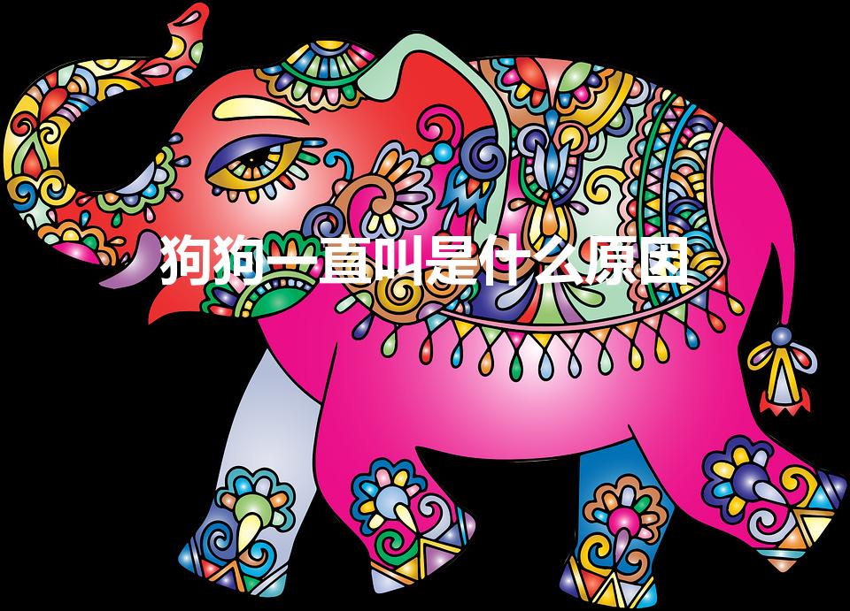 狗狗一直叫是什么原因（狗狗不停叫的因素）