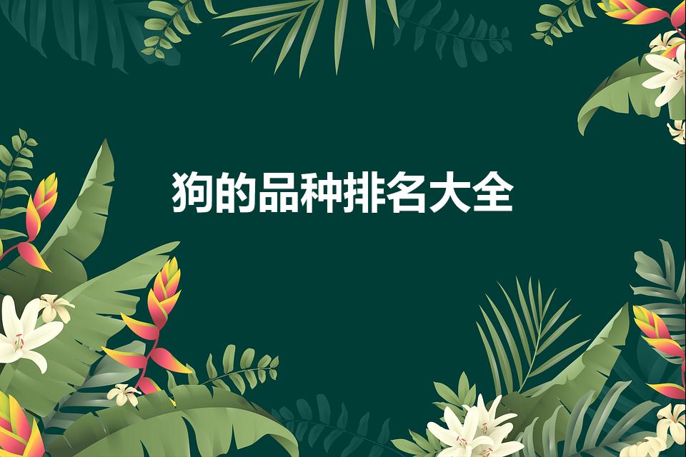 狗的品种排名大全（狗品排行榜大全）