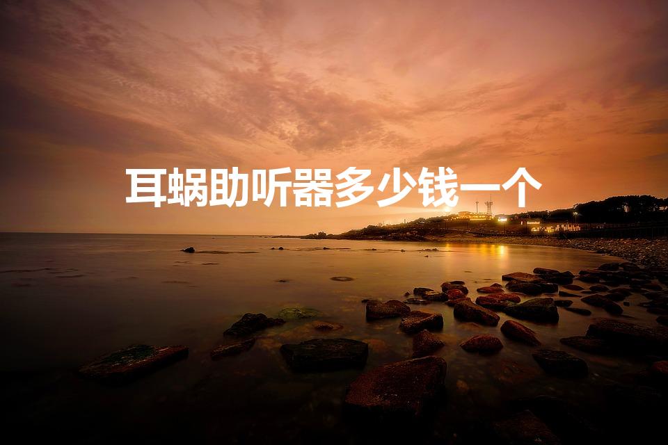 耳蜗助听器多少钱一个（人工耳蜗带助听器大约是多少钱）
