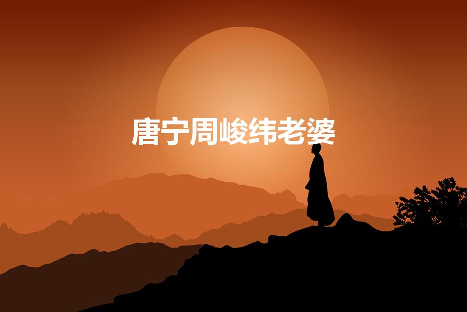 唐宁周峻纬老婆（娶素人回家的四位男星,你知道是谁吗）