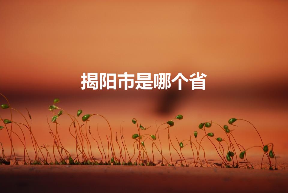 揭阳市是哪个省（广东揭阳属于哪个市）