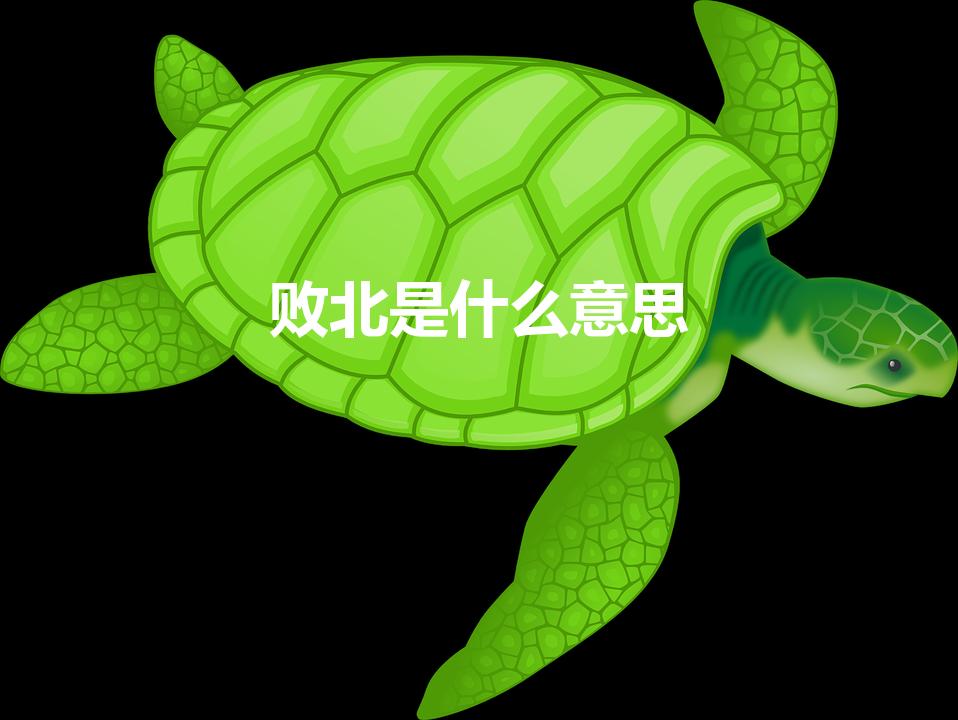 败北是什么意思（败北是什么意思 败北意思详解）