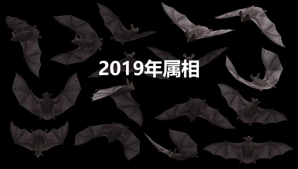 2019年属相(2019年属相是什么生肖)