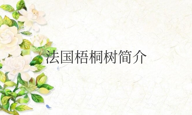 法国梧桐树简介和特点（法国梧桐与中国梧桐的区别）