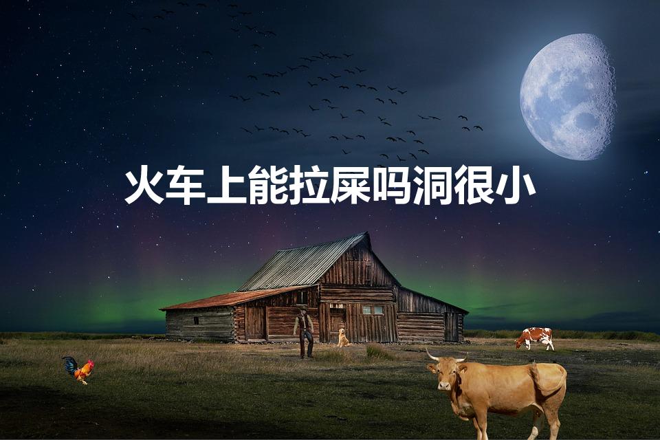 火车上能拉屎吗洞很小（火车厕所坑的洞很小,可以大便吗）