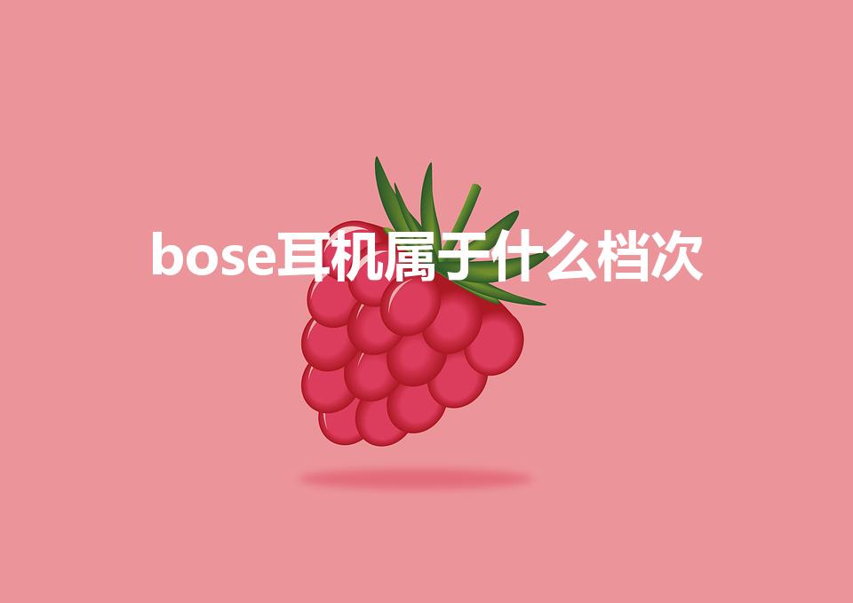 bose耳机属于什么档次（b&o耳机什么档次有必要买吗）