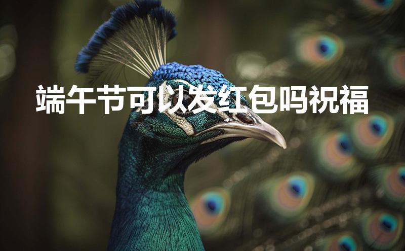 端午节可以发红包吗祝福(端午节可以发红包吗祝福语怎么说)