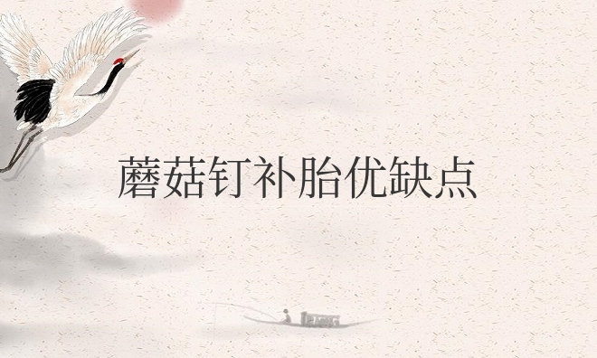 蘑菇钉补胎优缺点（蘑菇钉和贴片补胎哪个好）