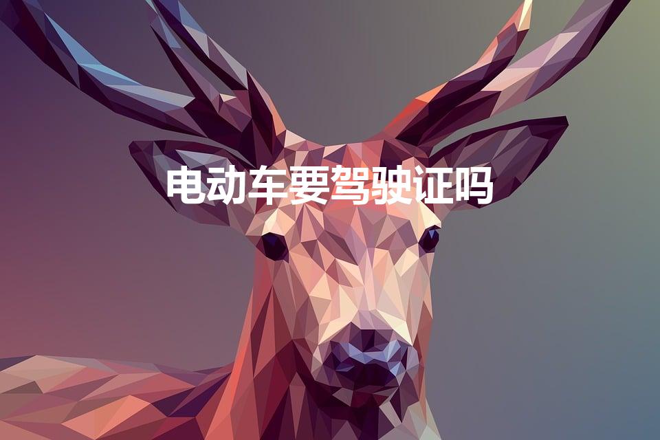 电动车要驾驶证吗(电动车要驾驶证吗2023年)