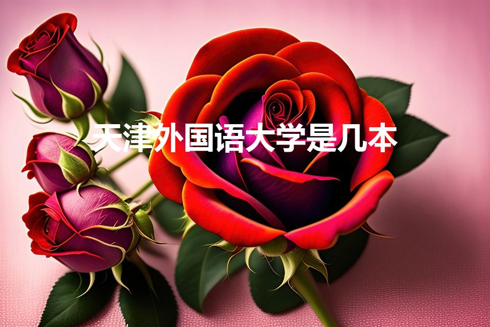 天津外国语大学是几本(天津外国语大学是几本是211吗)