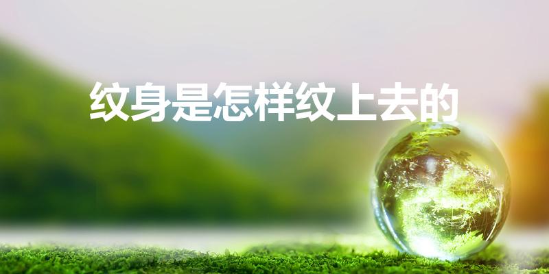 纹身是怎样纹上去的（纹身是怎么纹的）