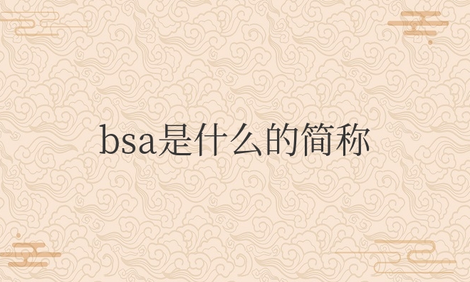 汽车仪表上bsa是什么意思
