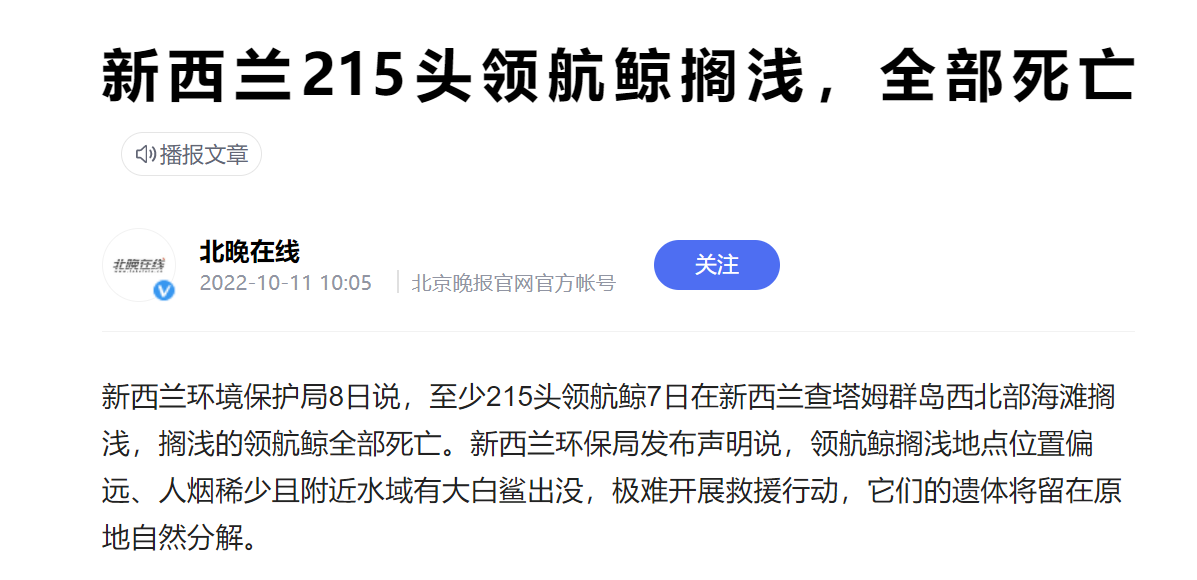 领航鲸搁浅死亡是怎么回事（每年有多少领航鲸搁浅）