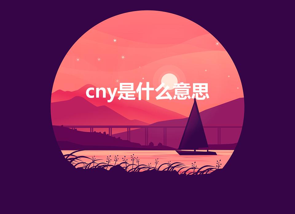 cny是什么意思（cny是什么意思的缩写)
