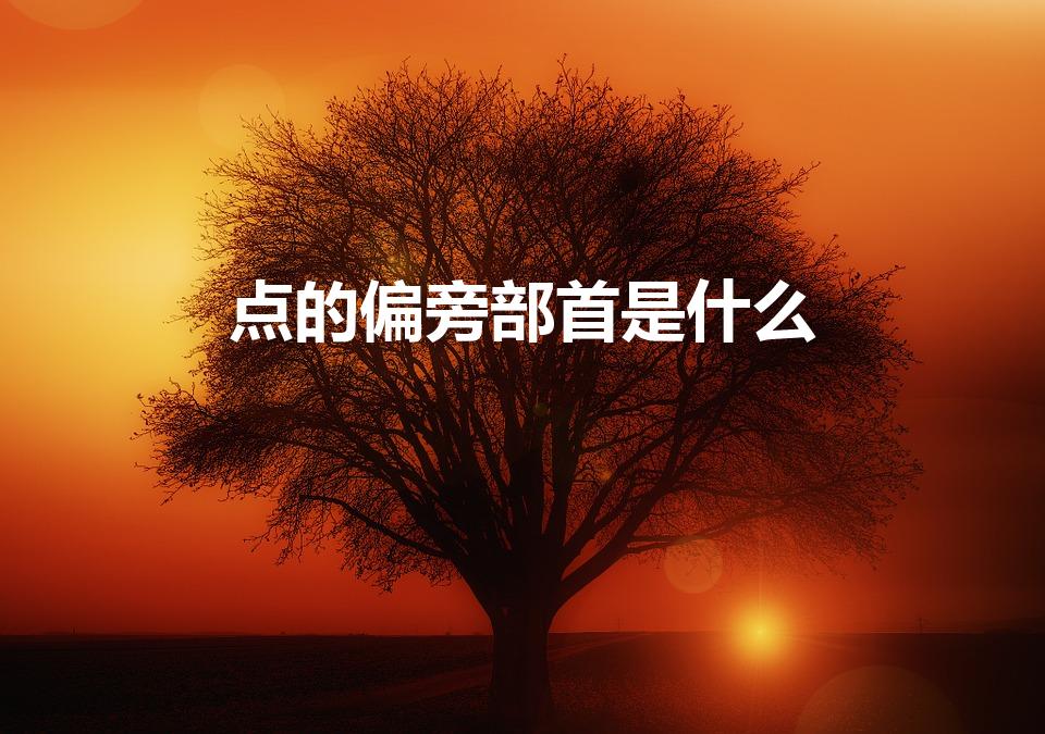 点的偏旁部首是什么（点的偏旁部首：何为主题？）