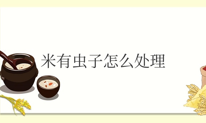 米有虫子怎么处理（米生虫了怎么快速驱虫）