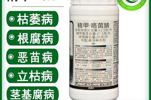精甲咯菌腈主要防治什么病（精甲咯菌腈可以防治哪些病害）