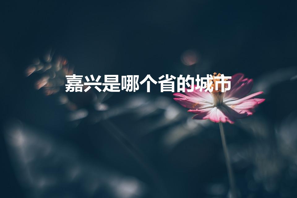 嘉兴是哪个省的城市（嘉兴是哪个省属于哪个市）