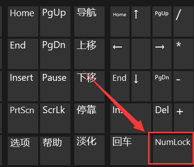 <a href=/win11/ target=_blank class=infotextkey>win11</a>电脑键盘打不了字怎么办？